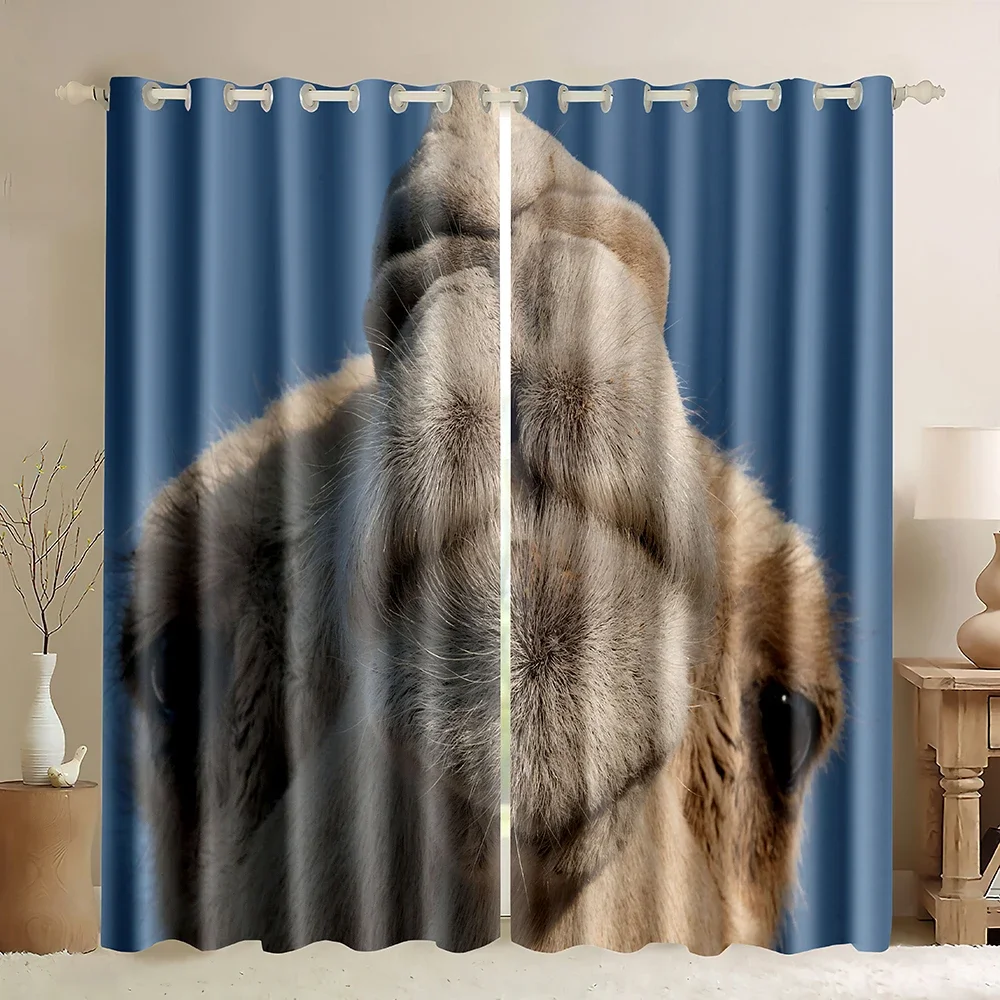 Cortinas de Ventana con Diseño - 3D Printing Cafe reseña y precio